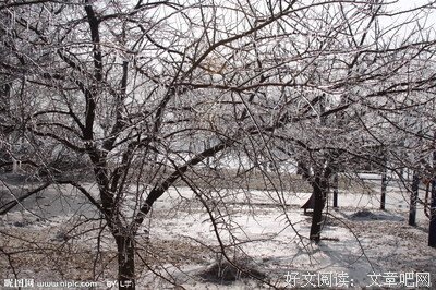 《美妙的新世界》读后感精选