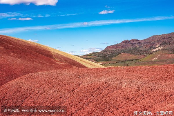 《不毛地带》好看吗？经典影评锦集