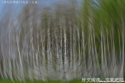 《花与树》经典影评集