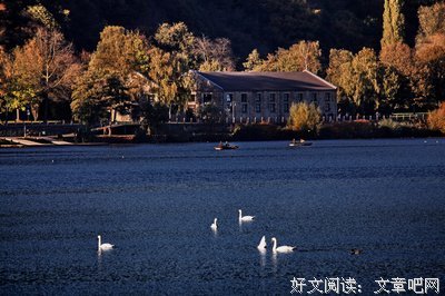 诗词歌赋