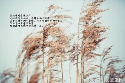 描写适可而止的经典句子