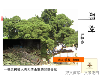 描写亲眼目睹的经典句子