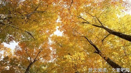 关于点到为止的语句