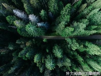 关于浩浩荡荡的格言