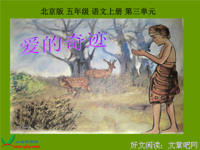 有关奇迹的句子