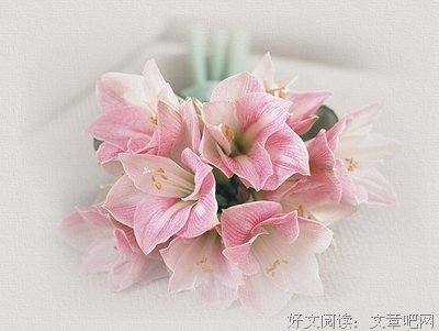 关于珍藏的优美句子