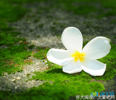 哲理的句子