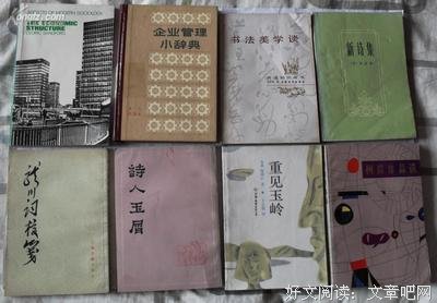 《重见玉岭》的读后感大全