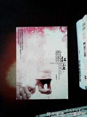 微雨红尘（上下）读后感100字