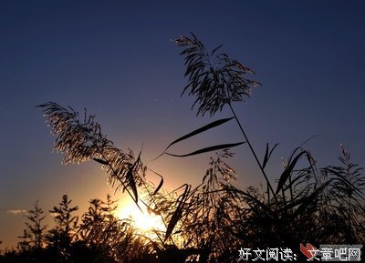 《外滩影像与传奇》读后感1000字