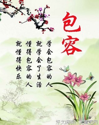 包容的智慧经典读后感有感