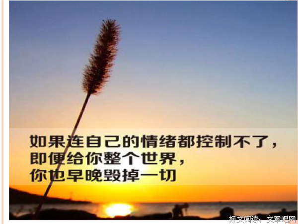 情绪的解析读后感1000字