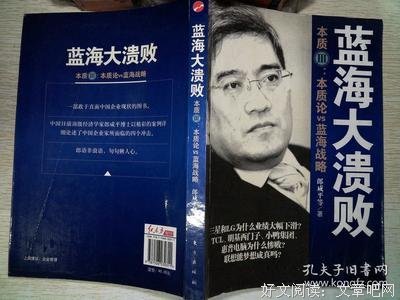 蓝海大溃败读后感摘抄