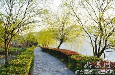 所有烦恼，都有解药