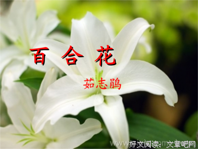 20187着出的句子