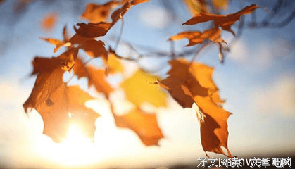 关于心灵的优美句子