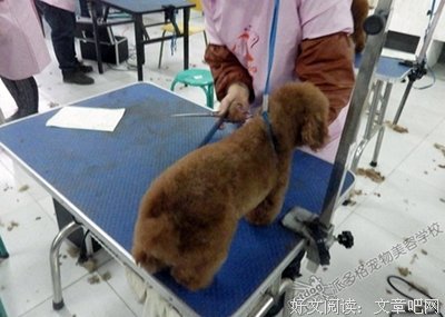 关于手把手名言名句