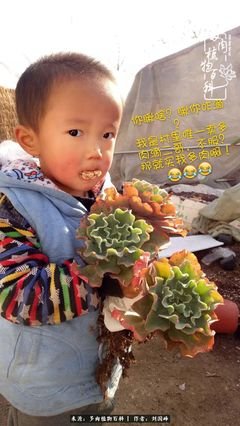 关于摇身一变的格言