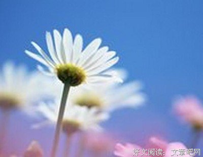 愈演愈烈的语句摘抄_关于愈演愈烈的语句