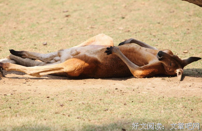 两脚踏翻尘世路，以天为被地为炉的优美句子