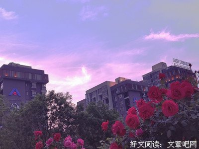 有关相逢如初见，回首是一生的句子
