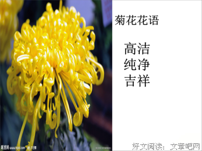 有关爱情佳句的句子