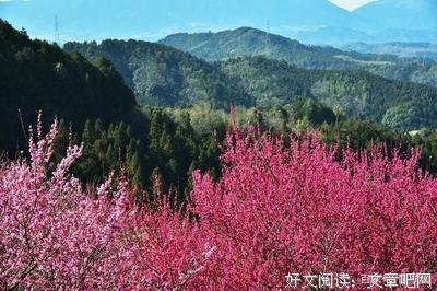 景物小句姿经典的句子