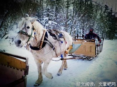 闯关东读后感锦集
