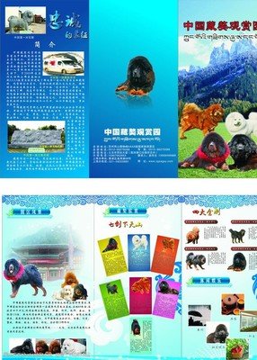 《藏獒3》读后感锦集