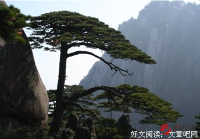 2019这得月他有色风景名言名句