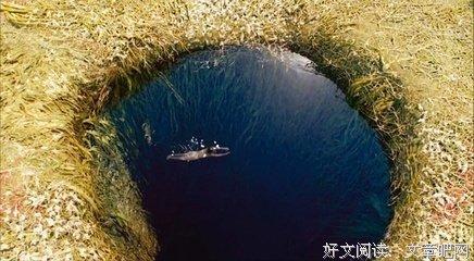 《再见吧！少年》经典观后感1000字