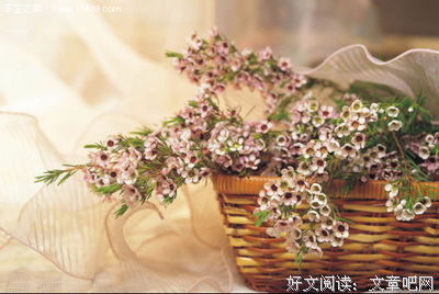《岁月如织》观后感100字