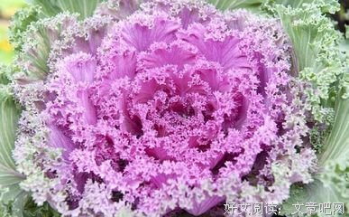 有关闲暇感悟的句子