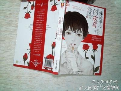 关于你是年少的欢喜，喜欢的少年是你的句子