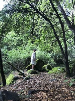 《两个男人一台戏》经典影评集