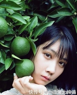 《龙道 双面复仇者》经典观后感1000字