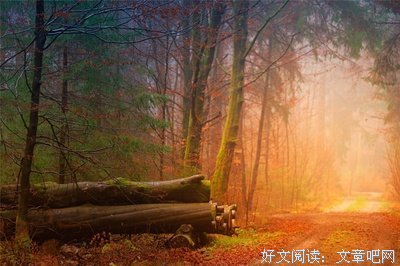 屡见不鲜的名人名言