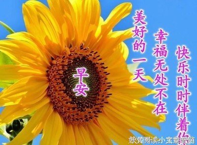 落井下石的语句摘抄_关于落井下石的语句