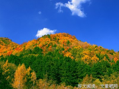 关于此情此景名言名句