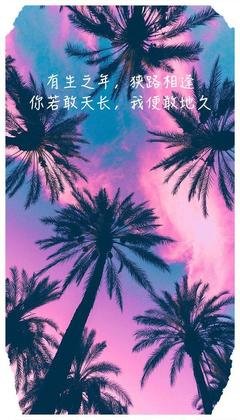 15条关于狭路相逢的经典语句