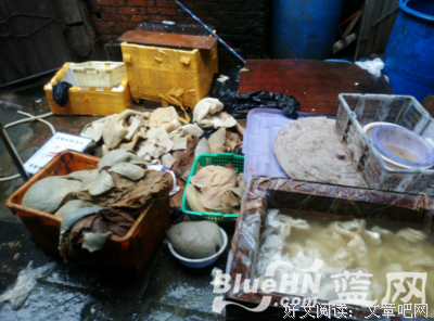 我和刘先生的日常（四十八）