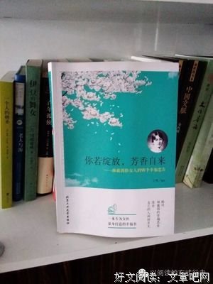 《耳语之人》读后感精选