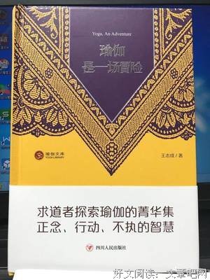 图解瑜伽经的读后感大全