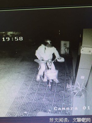 《午夜兰花》读后感锦集