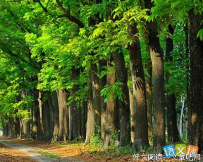 《桃花传奇》读后感100字