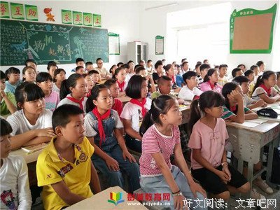 《花这样红》经典观后感有感