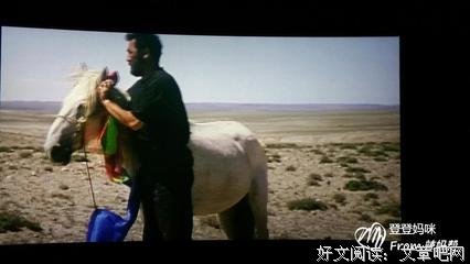 《爱马的女孩》经典观后感有感