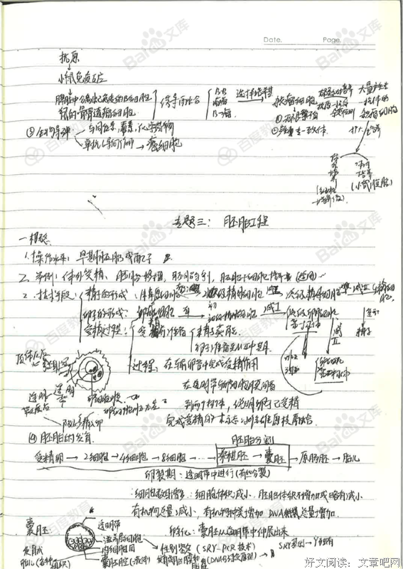 最新的《工作细胞》语录摘抄