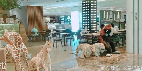 《饮食之道》读后感摘抄