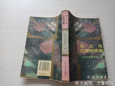 恶之花 巴黎的忧郁读后感精选